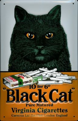 A037 Black cat                                      
