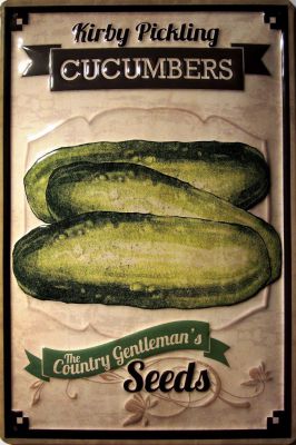B731 Cucumbers Blechschild 20 x 30 cm

