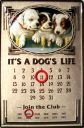 B618_Its_a_Dogs_Life_Kalender.JPG