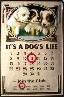 B618 Its a Dogs Life Kalender
